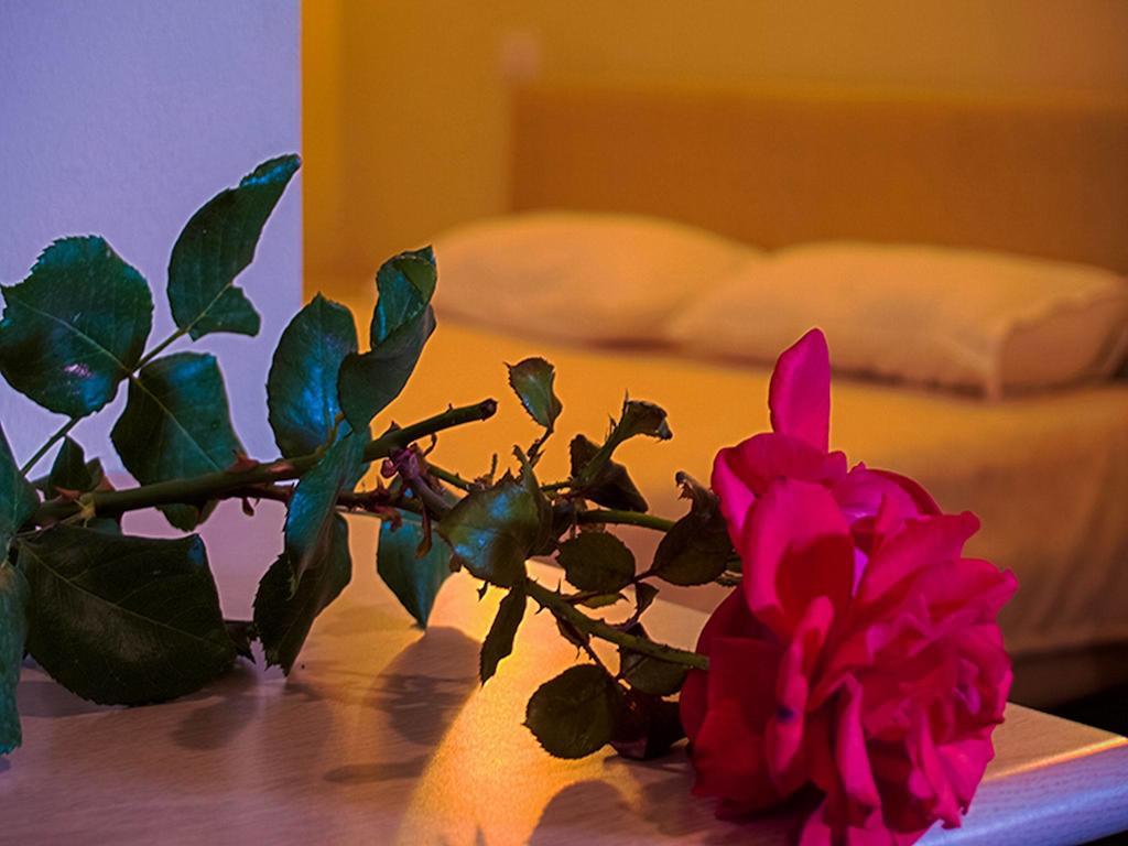 Kriva Resort Эльбасан Экстерьер фото